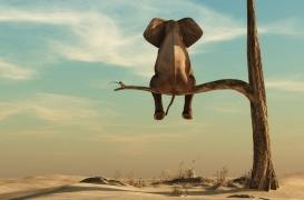 Etes-vous solitaire ou sociable ? Comment cela se joue dans le cerveau 