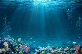 Chimiothérapie : quelles sont les conséquences environnementales des médicaments ? 