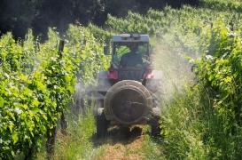 Les pesticides élèvent autant le risque de certains cancers que le tabagisme