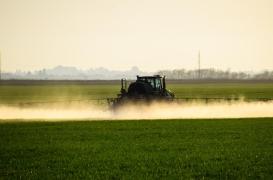 Le glyphosate pourrait causer des dommages durables au cerveau