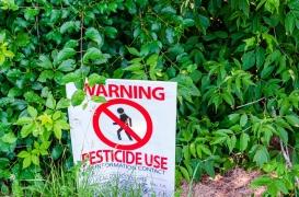 Loi Duplomb : l’Ordre des médecins s’y oppose à son tour