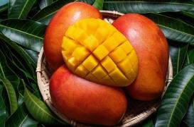 Obésité : les vertus de la mangue liées à ses effets sur l'insuline