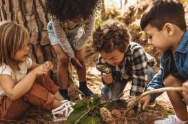 Cerveau : quels sont les neurones qui nous rendent curieux ?