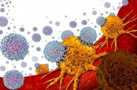 Les cellules qui repèrent les virus : comment mieux soigner de nombreuses maladies