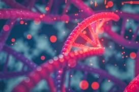 Maladies du sang : une thérapie génique approuvée au Royaume-Uni 