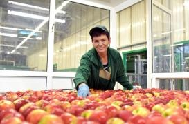 Comment la crise sanitaire a bouleversé l'industrie agro-alimentaire française 