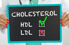 Le bon cholestérol… C'est bon pour la mémoire !