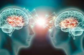 Des neuroscientifiques identifient 