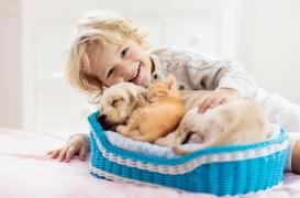 Allergie alimentaire : les enfants qui vivent avec un chien ou un chat en ont moins