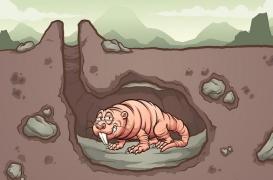 Vœux d’immortalité