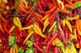 Covid-19 : voici comment le piment pourrait nous aider à retrouver le goût