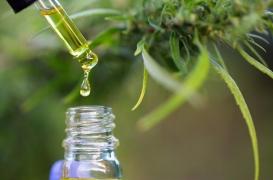 Le CBD, un allié dans la prise en charge du cancer du poumon ?