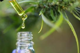 Le cannabis permet de prévenir et combattre le mal de ventre