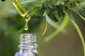 Cannabis thérapeutique : tout savoir sur l’expérimentation qui va démarrer