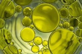 Cancer : pourquoi l’huile d’olive pourrait booster les traitements