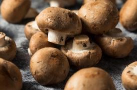 Champignons : 3 bonnes raisons d'en manger