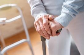 Problèmes de mobilité : multiplier les petits vaisseaux sanguins permet de récupérer