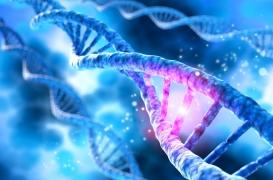 Sclérose en plaques : une mutation génétique accélère la progression de la maladie