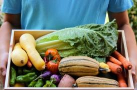 Diabète de type 2 : manger bio et perdre quelques kilos diminuent le risque