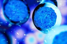 Un patient guérit du VIH après une greffe de cellules souches