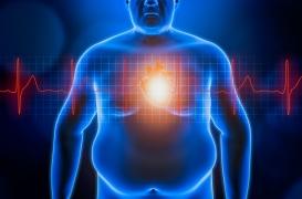 Covid-19 : un décret élargit de nouveau la liste des personnes vulnérables