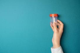 Au Pays-Bas, un donneur est poursuivi pour avoir donné plus de 500 fois son sperme 