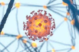 Traitement anti-Covid : l’Institut Pasteur de Lille débute les essais cliniques