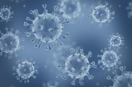 Covid-19 : le variant sud-africain immuniserait contre les autres versions du virus