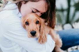 Câliner son chien, c'est bon pour le moral