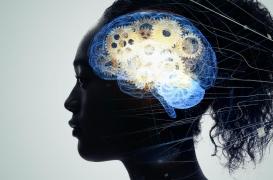 Notre cerveau met deux heures pour apprendre un nouveau mot