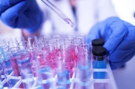 L’étude européenne Discovery tourne à l’échec 