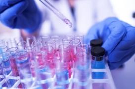 Cristoli, ce nouveau virus découvert en Ile-de-France