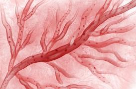 Parkinson, Alzheimer, épilepsie : un « cheval de Troie » pour faire passer le traitement dans le cerveau