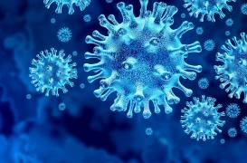 Traitements anti-Covid : ça accélère pour l’institut de Pasteur