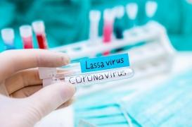 Au Nigeria, la fièvre hémorragique de Lassa tue en silence  