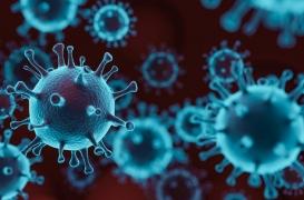 Anticorps monoclonaux et interféron : qu'est-ce que ces deux “traitements innovants” de la Covid-19 ? 