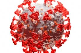 La Covid-19 aurait connu une surmutation selon Didier Raoult, qu’en dit la science ?