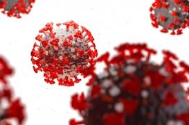 Variants anglais, sud-africain et japonais : 