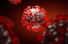 Traitement Covid-19 : l'Octofène, l’antibiotique testé en secret par l’institut Pasteur, bientôt en essai clinique