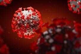 Covid-19 : les Israéliens ont-ils trouvé LE médicament ?