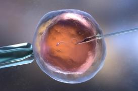 L’âge maternel principal facteur d’échec des FIV ?