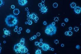 Public élargi, rappels espacés, autotests... Tout ce qui change cette semaine dans la lutte contre la Covid-19