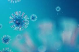 Le SARS-CoV 2 protègerait de… la douleur !