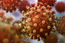 Covid-19 : un traitement préventif pour les patients immunodéprimés autorisé