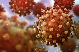 Covid-19 : des risques plus élevés liés à l'excès de poids