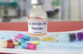 L’essai clinique sur les vers marins arrêté