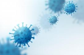 Variants de la Covid-19 : lesquels faut-il aujourd'hui craindre en France métropolitaine ? 