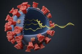 Variants : comment ils se forment et pourraient rendre les vaccins inefficaces
