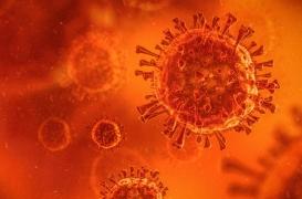 Covid-19 : la colchicine se révèle être inefficace chez les malades hospitalisés