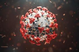 Cellules souches, médicaments ou molécules repositionnés : où en est on des traitements contre la Covid-19 ?